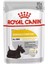 Mini Dermacomfort Pouch Konserve Köpek Maması 85 gr 1