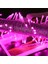 10 Metre Pembe LED Işık Pembe Yılbaşı Ağacı Işığı 100 LED Lambalı Fişli 220V Noel Işığı Yılbaşı Işığı Pembe 2