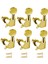 6x Pegs Mühürlü Mükemmel Fit Gitar Aksesuarları Aureate 6l (Yurt Dışından) 2