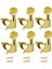 6x Pegs Mühürlü Mükemmel Fit Gitar Aksesuarları Aureate 6l (Yurt Dışından) 4