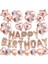 Happy Bırthday Lüks Doğum Günü Set 1