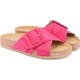  Renk Pembe