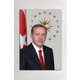Seçili Renk Renkli