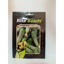 Rita Kornişon (Turşuluk)