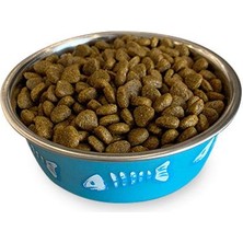 Obivan Low Grain Delicate Kuzu Etli Kedi Maması 1 kg x 3 Adet