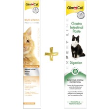 Gimcat Multivitamin Paste 100GR + Gastro Intestinal Paste   Destekleyici 50GR