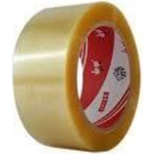 Ve-Ge Aslan Koli Bandı