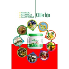 Nlife 2 Li Skin Butter Cilt Bakım Kremi 9 Bitkisel Yağ Karışımı 190X2 ml