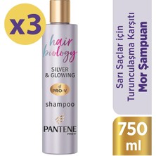 Pantene Hair Biology Turunculaşma Karşıtı Silver/ Mor Şampuan, Sarı Saçlar Için, 250ML X3