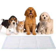 Csr Kedi Köpek Çiş Pedi - Yatak Koruyucu Örtü 60 x 90 30'Lu Paket