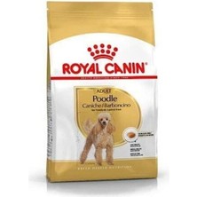 Royal Canin Poodle Adult Köpek Maması 3 kg Poodle