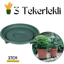 Homecare Coadura 37 cm Yeşil Tekerlekli Saksı Taşıyıcı ve Altığı 716869