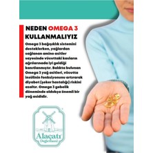 Alaçatı Değirmeni Omega 3 Epa 240 Dha 360 200 Yumuşak Kapsül Softgel 1300 Mg