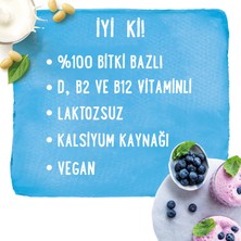 Alpro Vanilya Badem İçeceği 1lt Laktozsuz Bitkisel Vegan Süt