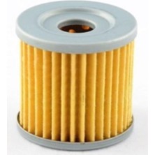 Monero Yağ Filtresi Pıoneer Ramzey XF200-10V - Oem 200CC