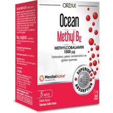 Ocean 1000 Mg Methyl Cobalamin B12 Sprey 5 ml