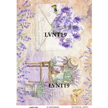 Lineart Pirinç Dekopaj Kağıdı LA-LVNT19