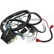 Motohane 125 Mx Elektrik Tesisatı Orj