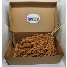 Vivere Kızıl Dal Darı 100 gr