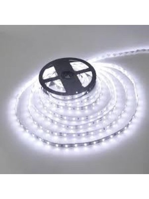 Cata CT-4480 10ç Iç Mekan Beyaz LED Şerit(5 Mt)