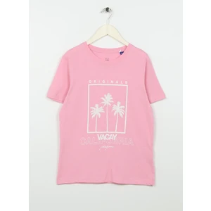 Jack & Jones Desenli Pembe Erkek Çocuk T-Shirt 12235543
