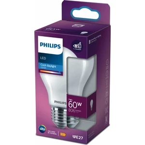 PHILIPS FILAMENT 60W BUZLU AMPUL BEYAZ IŞIK 6500K