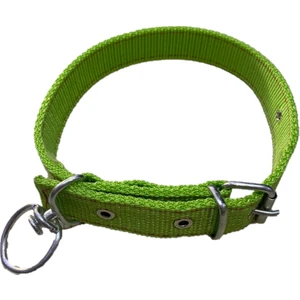 Güzelce Yapı Köpek Boyun Tasması 60 cm Yeşil
