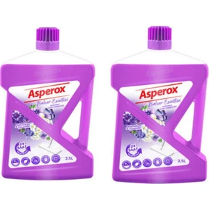 Yüzey Temizleyici 2X2500ML Bahar Esintisi