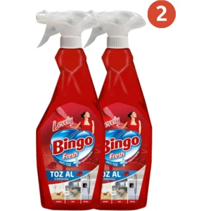 Toz Al Lovely 2'li Set