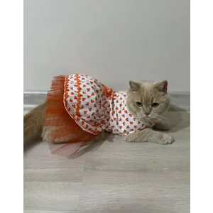 Turuncu Yaprak Desenli Kurdeleli Beyaz Kedi Köpek Kıyafeti Elbisesi