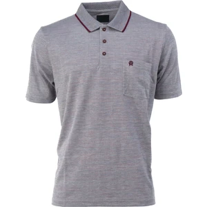 Erkek Polo Yaka Cepli Kısa Kollu Puntolu Kırçıllı Desenli Tam Kalıp Normal Kesim Pamuklu Kumaş T-Shirt
