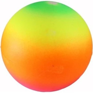 Gökkuşağı Plastik Top