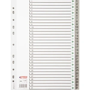 Pp Seperatör 1-31 Rakamlı 10'lu Kutu