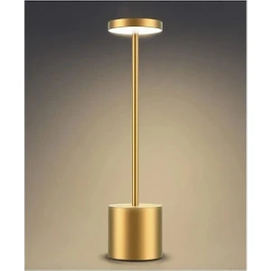 Ct 8431 Masa Lambası