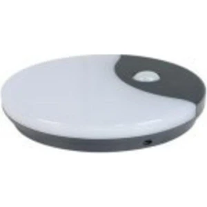 Ct 7092 12W Sıva Üstü Sensörlü Modern Armatür
