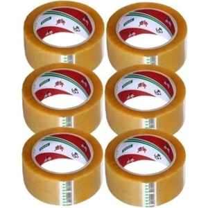 Koli Bantı Aslan 45X100 Şeffaf (6 Adet)