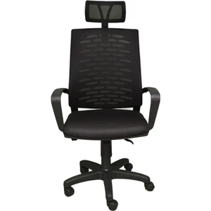 EKS Ticaret Portero Desıgn Sofya Müdür Ofis Çalışma Koltuğu Öğrenci Sandalyesi Makam Koltuğu Fileli Siyah