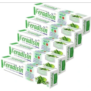 Diş Macunu Nane Ferahlığı 90GR - 5 Adet