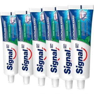 Diş Macunu Çürüklere Karşı Nane Ferahlığı 100 ml X6 Adet