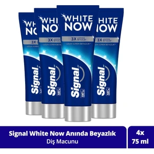 White Now Diş Macunu 75ML X4