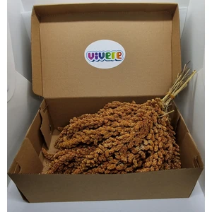 Kızıl Dal Darı 250 gr