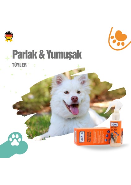 Susuz Kuru Köpük Şampuan 150 ml +Dolklık Açıcı Sprey 100 ml + Animal Health Çok Amaçlı Temizlik Havlu 5li