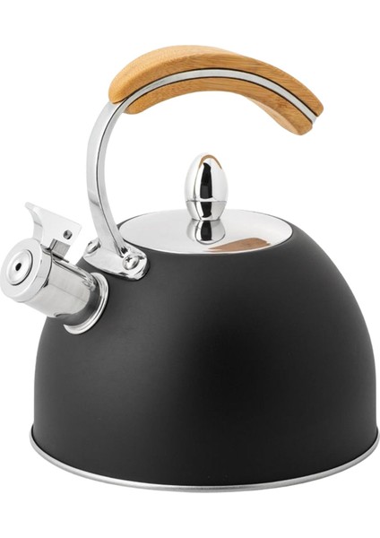 3l Su Isıtıcısı Ahşap Tutamak Indüksiyon Ocak Kamp M Siyah (Yurt Dışından)