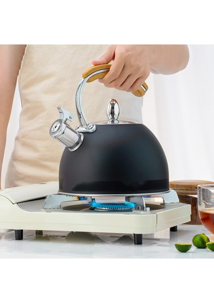 3l Su Isıtıcısı Ahşap Tutamak Indüksiyon Ocak Kamp M Siyah (Yurt Dışından) fiyatları
