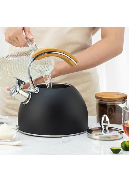 3l Su Isıtıcısı Ahşap Tutamak Indüksiyon Ocak Kamp M Siyah (Yurt Dışından) modelleri