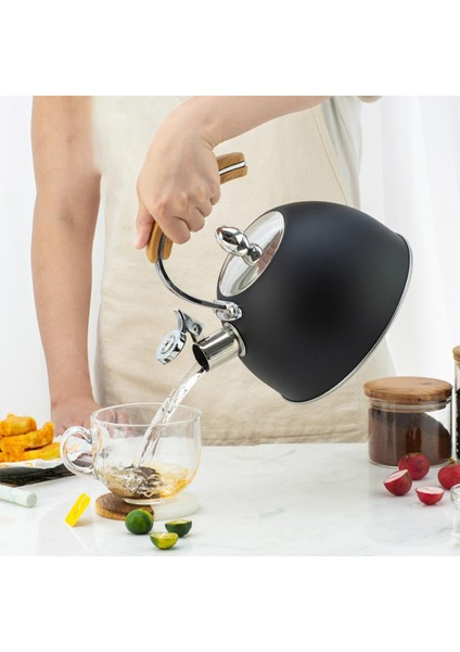 3l Su Isıtıcısı Ahşap Tutamak Indüksiyon Ocak Kamp M Siyah (Yurt Dışından) fırsatları