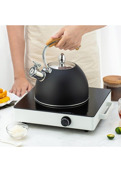3l Su Isıtıcısı Ahşap Tutamak Indüksiyon Ocak Kamp M Siyah (Yurt Dışından) indirimleri