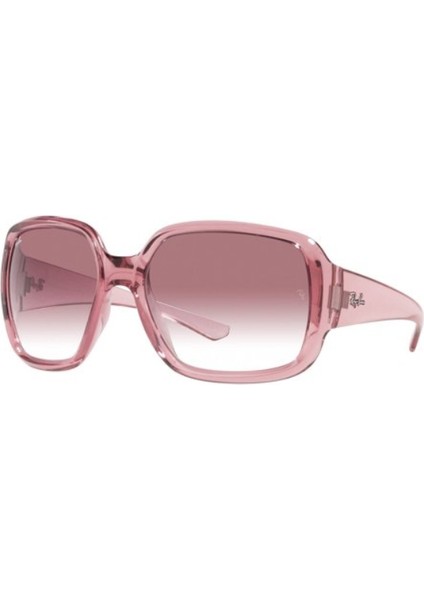 RB4347 65338H Kadın Güneş Gözlüğü