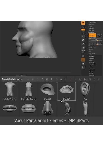 Zbrush Video Ders Eğitim Seti