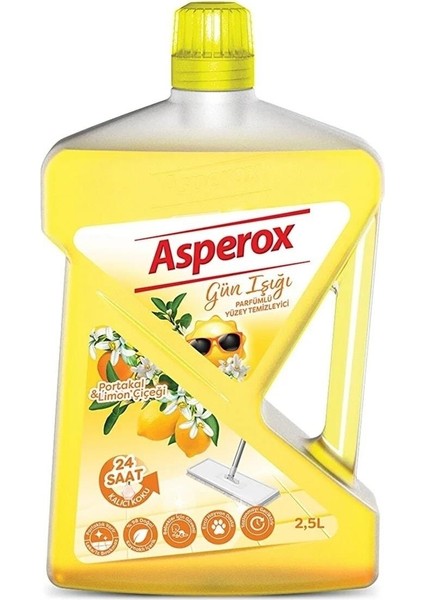 Yüzey Temizleyici Gün Işığı 2,5lt x 6 Adet
